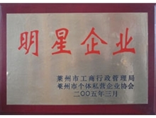 明星企业