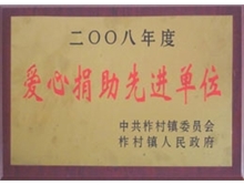 爱心捐助先进单位