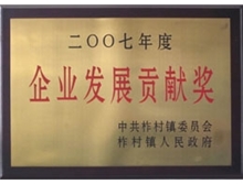 企业发展贡献奖