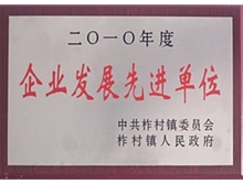企业发展先进单位